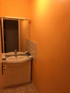 a bathroom with a sink and a mirror at Villa plein pied rez-de-chaussée+1 avec dépendance in Cenon
