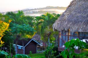 a house with a thatch roof and a building with trees at Cahal Pech Village Resort in San Ignacio