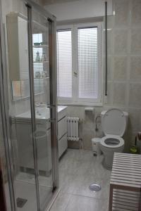 a bathroom with a shower and a toilet and a sink at Casa do Roxo de Rinlo Nº REGISTRO VUT-LU-00706 in Rinlo