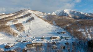 
a snow covered mountain with a mountain range at The Lodge Moiwa 834 in Niseko
