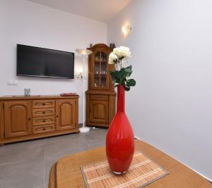 プリモシュテンにあるApartment Frieskeの白花の赤花瓶