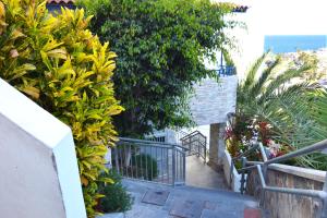 Bella Vista Sun Club外面的花园