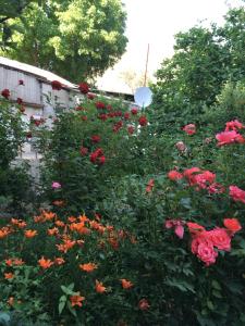 Ảnh trong thư viện ảnh của Ave Zara ở Vaghatin