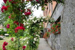 Giardino di Casal Ponziani per Civita e Dintorni