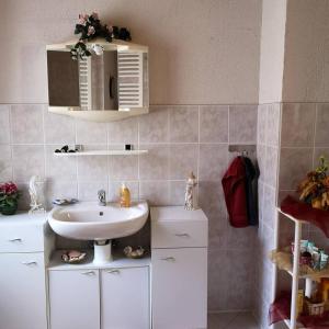a bathroom with a sink and a mirror at Ferienwohnung am Wald in Tharandt +14 photos