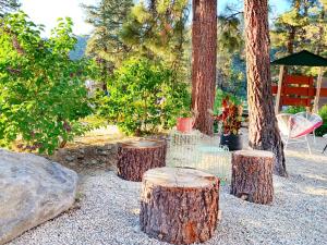 Zahrada ubytování Grand Pine Cabins
