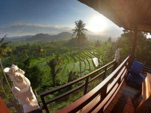 a balcony with a view of a rice field at Villa di Bias in Tirtagangga