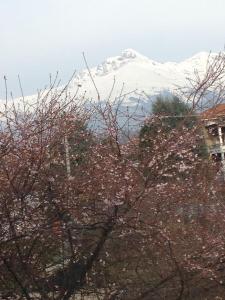 a snow covered mountain in the distance with trees at A casa di Antonella in Biella