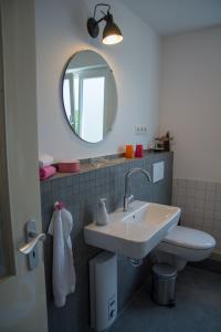 a bathroom with a sink and a toilet and a mirror at Anna's Siedlungshäusle in Herrenberg