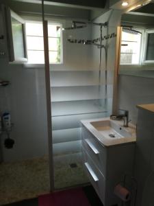 a bathroom with a sink and a shower and a mirror at Tres agreable maison au calme dans la pinede in Lacanau-Océan