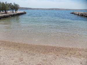 ein Strand mit einem Wasserkörper und einigen Bäumen in der Unterkunft Apartments Vivien in Kustići