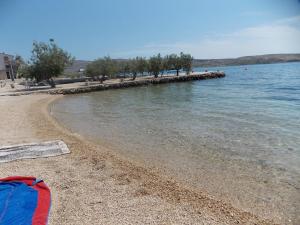 a beach with a group of trees and the water at Apartments Vivien in Kustići