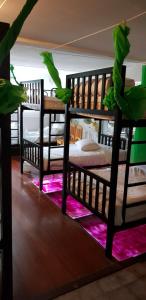 two bunk beds in a room with purple lighting at Restaurant & Guesthouse Say Cheese in Hua Hin