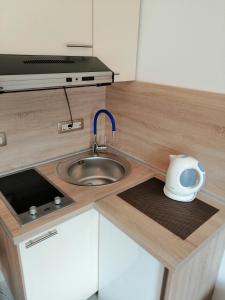 a small kitchen with a sink and a sink at Studio Apartman Irena1 in Bijela