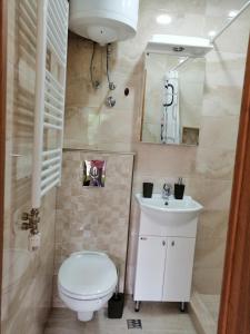 a bathroom with a toilet and a sink at Studio Apartman Irena1 in Bijela