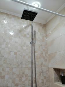 a shower with a glass door in a bathroom at Studio Apartman Irena1 in Bijela