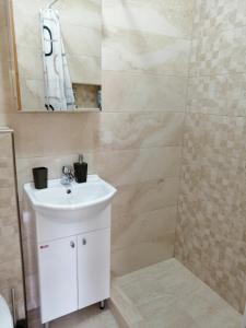a bathroom with a white sink and a mirror at Studio Apartman Irena1 in Bijela