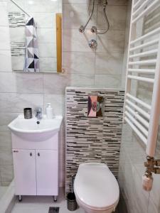 a bathroom with a white toilet and a sink at Studio Apartman Irena 2 in Bijela