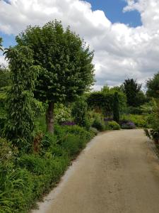 Webergarten في أوستريش-فينكل: طريق ترابي في حديقة بها شجرة على الجانب