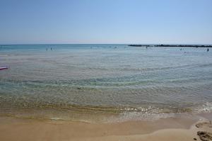 Spiaggia vicina o nei dintorni dell'appartamento