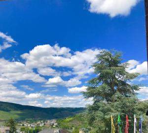 Afbeelding uit fotogalerij van Haus Adams - das Wohlfühl Gästehaus in Boppard
