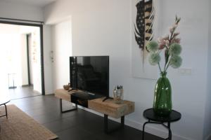 sala de estar con TV y jarrón con flores en Sunset Apartment at Casilla de Costa en Villaverde