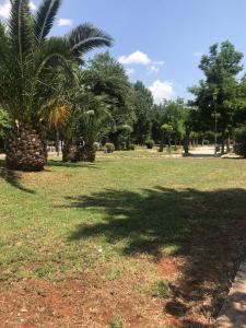 アテネにあるMets Area, Hip, Tasteful & Ultra Convenient Studio for 2の芝生のヤシの木がある公園