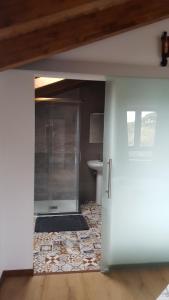 a bathroom with a shower with a sink and a toilet at La Posada del Druida in Foncebadón