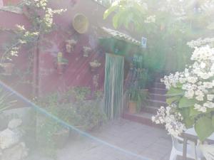 a garden with potted plants on the side of a building at Alojamientos Rurales Vado Ancho La Encina in Arroyo Frio