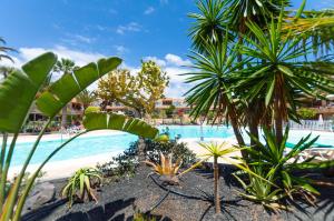 Bazén v ubytovaní AliceBungalowPoolView-Summer alebo v jeho blízkosti