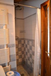 La salle de bains est pourvue d'une douche avec rideau de douche. dans l'établissement Villa San Giacomo, à Scerni