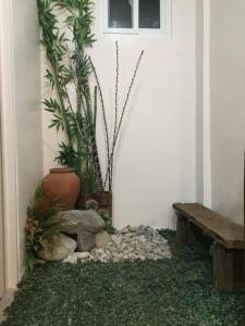 a corner of a room with a bench and plants at MIRASOL Residences in Daet