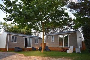 a tiny house with chairs and a tree at OasiHome in SantʼAndrea
