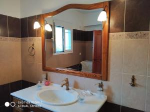 a bathroom with a sink and a mirror at Marina's Home in Grizáta