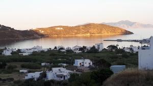 Φωτογραφία από το άλμπουμ του Ammonitis στο Λιβάδι