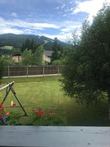 山景或在公寓看到的山景