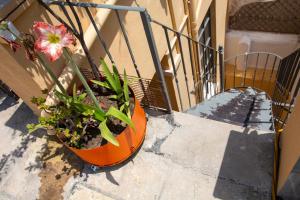 A balcony or terrace at Enticing, Cosy, Rooftop Studio Athens Centre! EP9T