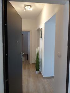 Kopalnica v nastanitvi Apartman Luka