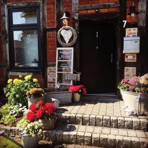 una puerta delantera de una casa con macetas de flores en Hygge, en Clenze