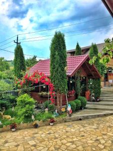 una casa con flores y plantas delante de ella en Casa BOICO, en Gura Humorului 12 fotos más