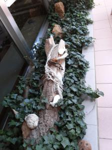 a garden on the side of a building at Hotel Kiss in Cesenatico