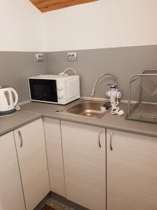 a kitchen with a sink and a microwave at Guest Rooms Radost in Balchik