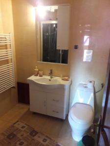 a bathroom with a white toilet and a sink at Casa DAOS in Nucşoara +6 photos