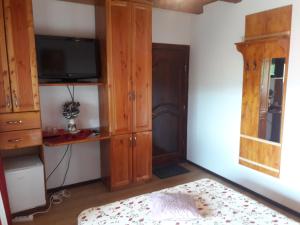 a bedroom with a tv and wooden cabinets at Casa DAOS in Nucşoara