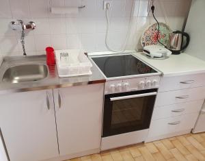 Kuchyňa alebo kuchynka v ubytovaní Apartment DINA