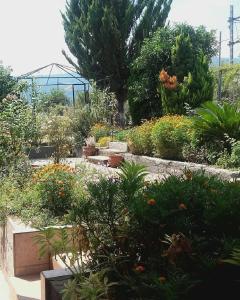 A garden outside PLAZA Studios