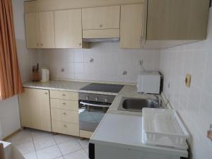 a kitchen with a sink and a stove and cabinets at D-D in Bovec