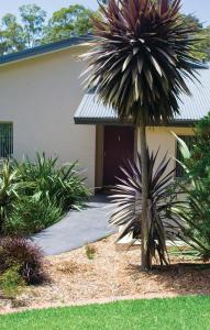 a palm tree in front of a house at Parker by the Sea in Batemans Bay