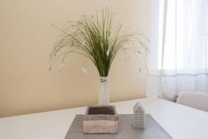 a white vase with a plant on a table at Apartments Julijana in Novalja