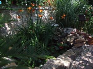 a garden with a pond and some plants at Orchidea Apartman in Csopak